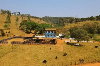 Linda fazenda leiteira centenaria produz o melhor queijo minas regional.