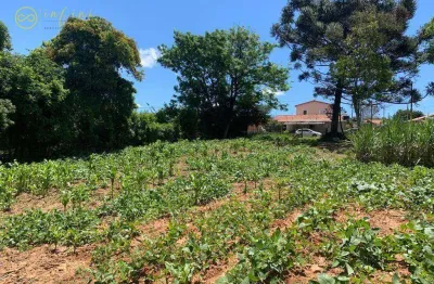 Terreno à venda, 9.271 m² por r$ 800.000 - cristovão - araçoiaba da serra/sp