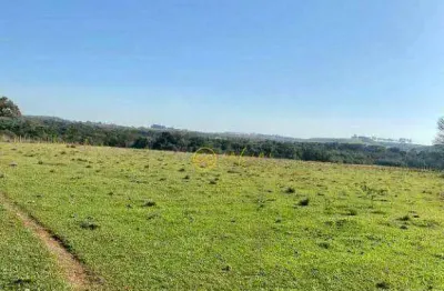 Terreno residencial ou comercial  à venda, 13,4 alqueires - 324.280 m² por r$ 3.600.000 - bairro do cercado - araçoiaba da serra/sp