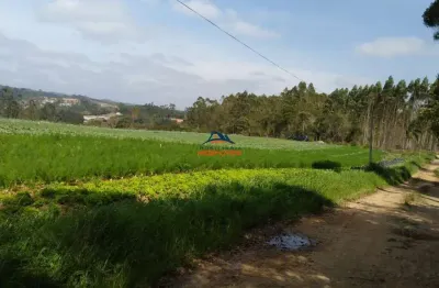 Terreno à venda em cotia-sp, bairro capelinha, 26.000m² de área privilegiada!
