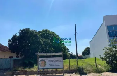 Terreno residencial à venda, centro, saltinho - te0014.