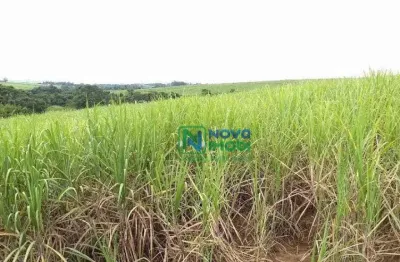 Área comercial à venda, nova suiça, piracicaba - ar0026.