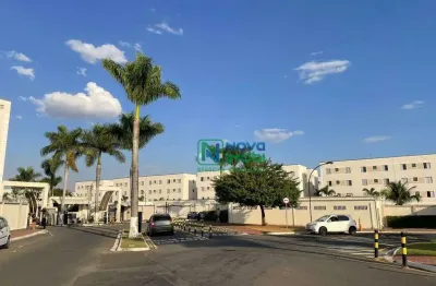 Lindo apartamento para venda, santa terezinha, piracicaba - sp