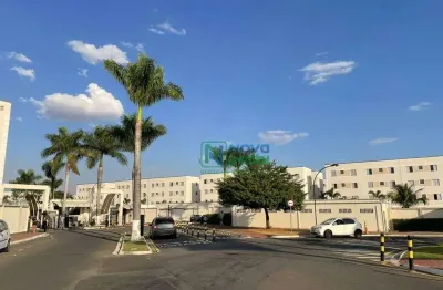 Lindo apartamento com 02 quartos a venda, santa terezinha, piracicaba - sp.