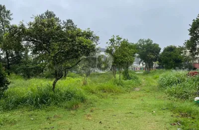 Terreno à venda na Servidão Jaborandi, Campeche, Florianópolis
