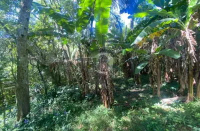 Terreno à venda na Rua Rosa, Pantanal, Florianópolis
