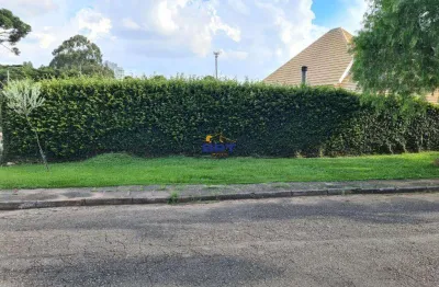 Terreno à venda em curitiba, bigorrilho, com 729 m²