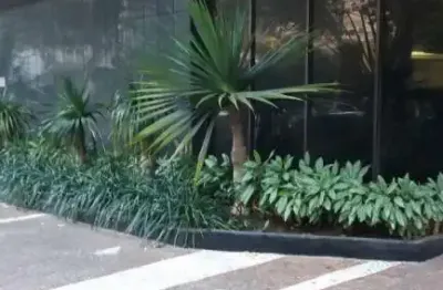 Apartamento de luxo, padrão caparaó, savassi, belo hte mg