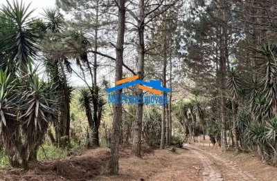 Km 36 rap. tavares - área para incorporação ou chácara 18.455m²