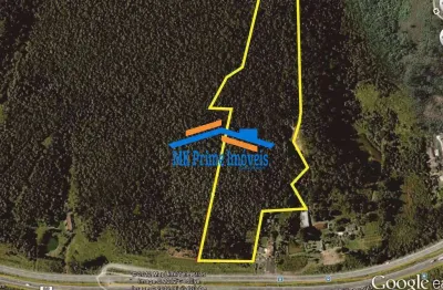 Área 63.202,79 m² às margens da rod. regis bittencourt - km 297 + 150 m