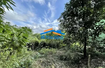 Terreno em condomínio fechado à venda na Rua São Vicente, Vila Santo Antônio, Cotia