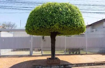 Casa com 3 quartos à venda na Rua Estevão Casal Caminha, Vila Vilas Boas, Campo Grande