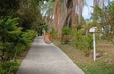 Chácara / sítio com 4 quartos à venda na Praça Julio Bento Alfredo, 211, Centro, Conchas