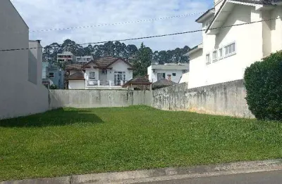 Terreno à venda na Avenida Omar Daibert, Parque Terra Nova II, São Bernardo do Campo