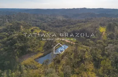 Terreno Rural Amplo em São José dos Pinhais/PR - R$ 1.690.000