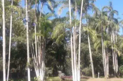 Chácara com 1 dormitório à venda, 5000 m² por r$ 350.000,00 - chácaras iporanga - peruíbe/sp