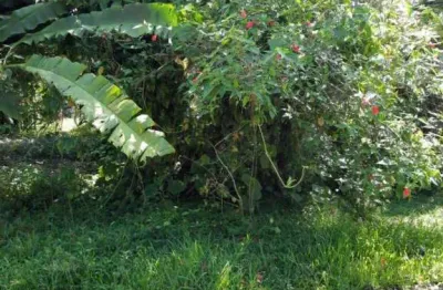 Terreno à venda, 1000 m² por r$ 90.000,00 - estancia sao marcos - peruíbe/sp
