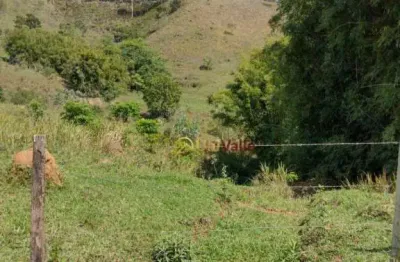 Terreno à venda, 24200 m² por r$ 250.000,00 - borba - pindamonhangaba/sp