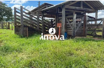 Chácara / sítio à venda na Área Rural de Uberaba, Uberaba 