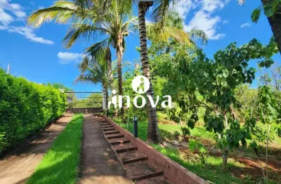 Chácara / sítio com 5 quartos à venda na Zona Rural, Delta 