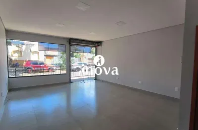 Ponto comercial para alugar no Estados Unidos, Uberaba 