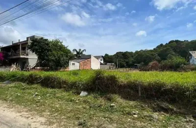 Terreno comercial à venda na Rua Pedra Refrataria, 98, Mariscal, Bombinhas