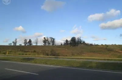 Terreno à venda no Aparecidinha, Sorocaba 
