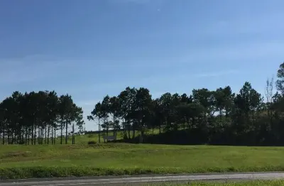 Área na rodovia castelo branco km 90,5, em frente a,toyota. terreno 10.900 m².