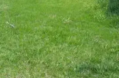 Terreno no condomínio valville 2 - santana de parnaíba