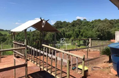 Chácara / sítio com 2 quartos à venda na Área Rural de Limeira, Limeira 