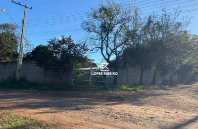 Terreno para alugar, 1000 m² por r$ 1.200,00/mês - chácara santa paula - limeira/sp