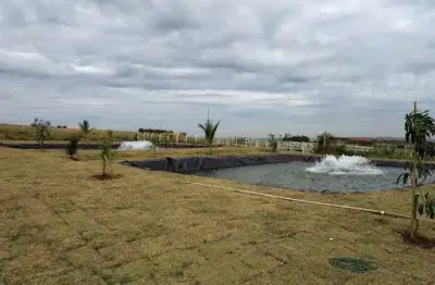 Sítio com 13 dormitórios à venda, 834900 m² por r$ 3.500.000,00 - área rural de limeira - limeira/sp