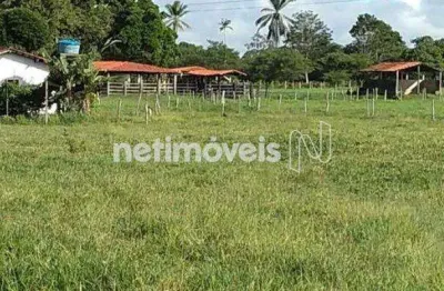 Fazenda à venda na Rua Ba 880, Zona Rural, Cachoeira