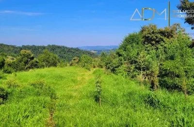 Chácara / sítio à venda no Centro, Pardinho 