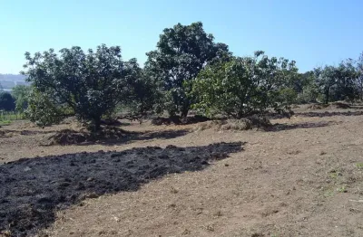 Terreno na avenida jacú pêssego para venda e locação - área total - 18.297 m2.