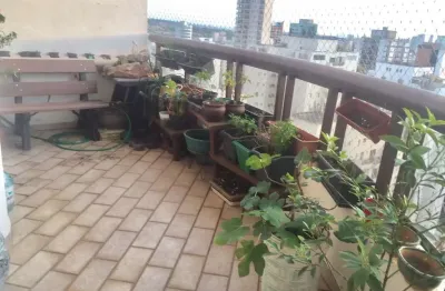 Cobertura triplex 4 dormitorios 4 suites 4 vagas   à venda, planalto paulista, são paulo, sp