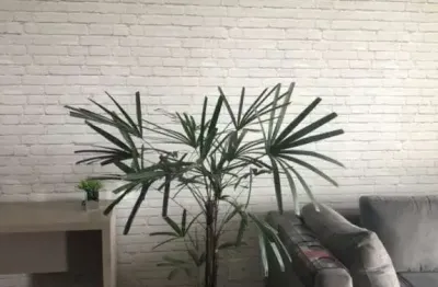 Apartamento com 2 quartos à venda na Rua da Chibata, 61, Vila Andrade, São Paulo