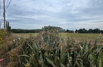 Terreno à venda na Avenida das Maritacas, S/N, Indusville, Londrina