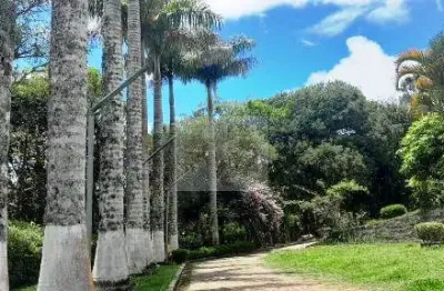 Chácara / sítio com 6 quartos à venda na Rua Domingos Pazini, Estância Angelina, Suzano