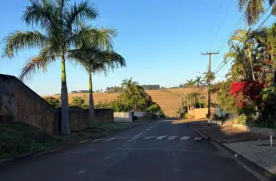 Chácara / sítio à venda na Avenida Fabiano Dias Vector, 80, Chácara Santa Maria, Cambé