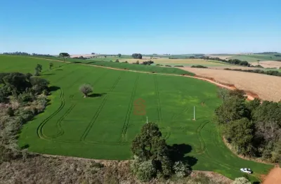 Chácara / sítio à venda na Estrada Rio Da Bulha, Jardim Iporá, Ivaiporã