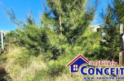 T169 - excelente lote medindo 300m² localizado em ótima região