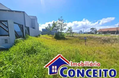 T59 - ótimo terreno medindo 250m² localizado em região de moradores