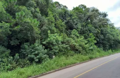 Terreno à venda, 1200 m² por r$ 535.900,00 - alpes verdes - canela/rs