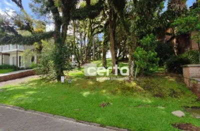 Terreno à venda, 750 m²  - altos pinheiros - canela/rs