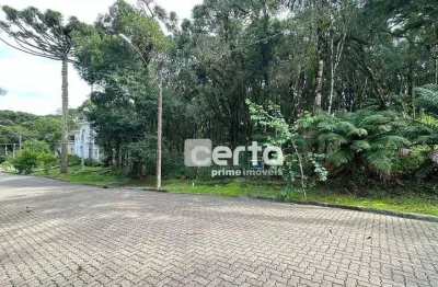 Terreno à venda, 744 m² por r$ 630.000,00 - pinheiro grosso - canela/rs