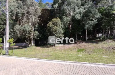Terreno à venda, 369 m² - mirante do vale - canela/rs