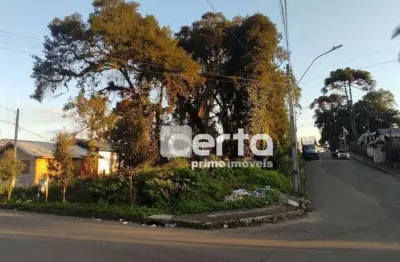 Terreno à venda no São Rafael, Canela 
