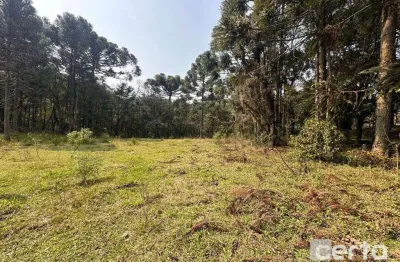 Terreno à venda no Caracol, Canela 