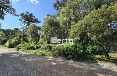 Terreno à venda na Suzana, Canela 